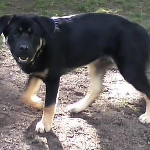 Meet your Posher, Brenda